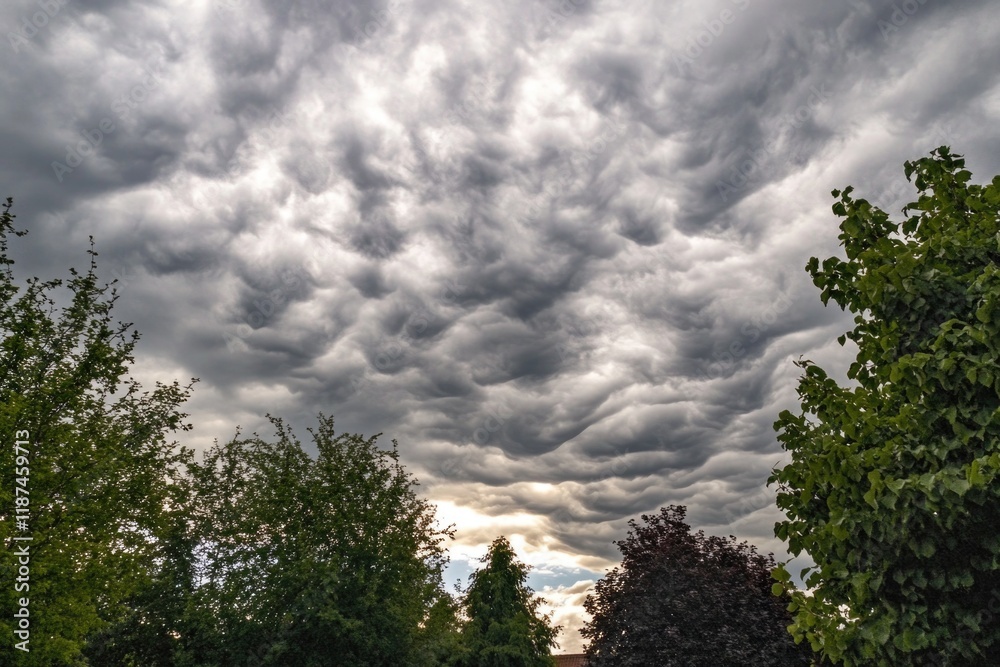 Poster a view of a cloudy sky with trees in the foreground, perfect for weather or nature-themed images