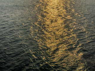 sunlight reflecting on the sea