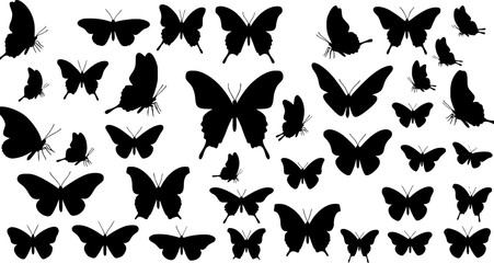 Obraz premium Set of butterflies, ink silhouettes. Glowworms, fireflies and butterflies icons isolated on white background. Hand drawn elements, Vector illustration. 