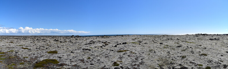 South Coast Iceland landscape by ocean with lava rock covered in white Lichens and Moss by Fagradalsfjall Volcano, Scandinavia, Europe