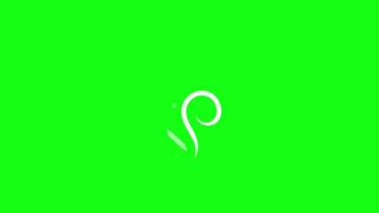 straight and curved smoke icon animated hot smoke icon coffee cup tea 2d 4k looping animated green screen