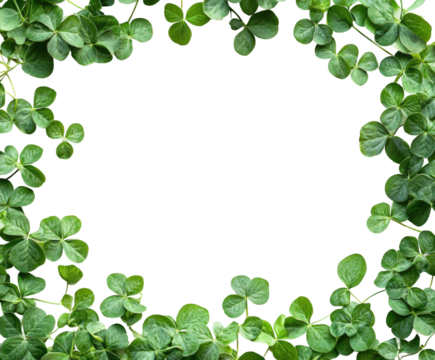 Clover leaf frame composition nature decorative graphic green environment close-up view botanical concept for isolated on transparent background png