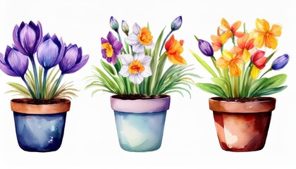 Vibrant Spring Flowers in Pots, Watercolor Painting Showcasing a Blossoming Palette of Colors and Textures, Bringing the Joy of Nature Indoors