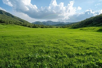 Rainbow over lush green meadow in mountain valley