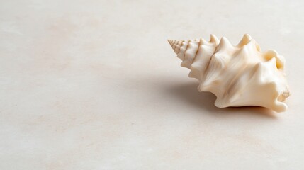 Intricate details of a conch shell for coastal decor and design inspiration