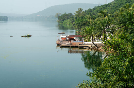Wooden dock emerging from greenery and floating above the Volta River
