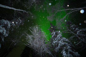 オーロラと雪景色