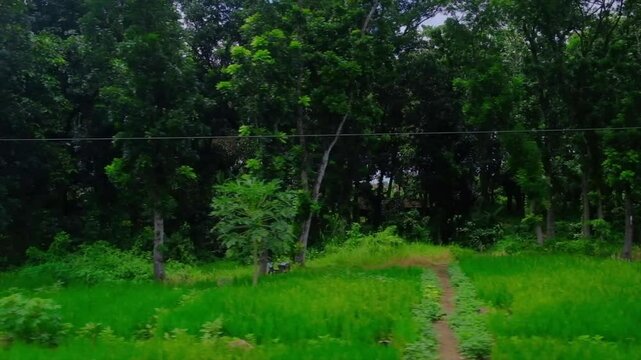 The view from inside the train shows views of rice fields and residential areas