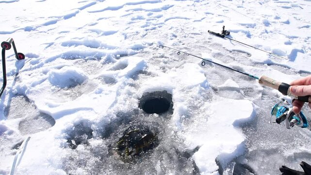 Ice fisherman catching fish, selective focus first person view perspective, big largemouth bass catch 