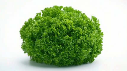 Obraz premium Fresh Parsley Bunch Isolated on White Background for Culinary Use
