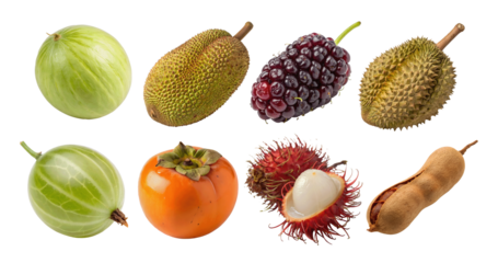 collection of exotic fruits including honeydew melon, gooseberry, jackfruit, rambutan, mulberry, persimmon, tamarind, and durian, isolated on white cutout transparent background, ideal design projects