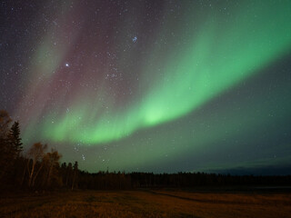 オーロラが綺麗な景色