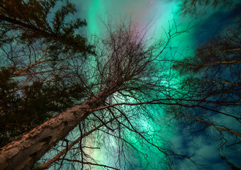 美しいオーロラが見えた日