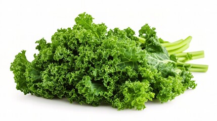 Fototapeta premium Fresh Bunch of Kale Isolated on White Background Vibrant Green Colors