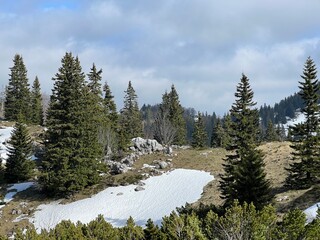 The last remnants of spring snow after a long and harsh mountain winter - Northern Velebit National...