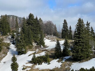 The last remnants of spring snow after a long and harsh mountain winter - Northern Velebit National...