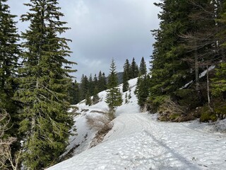 Early spring atmosphere and the last remnants of snow on the mountain road - Northern Velebit...