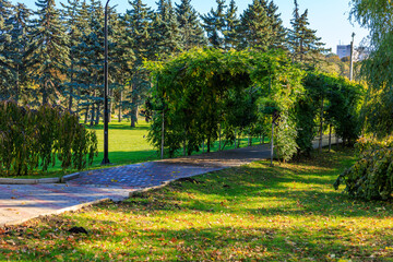 A park with a path and a trellis