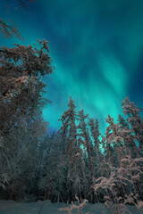 オーロラのある景色