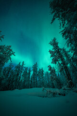 オーロラのある景色