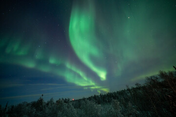 綺麗なオーロラ