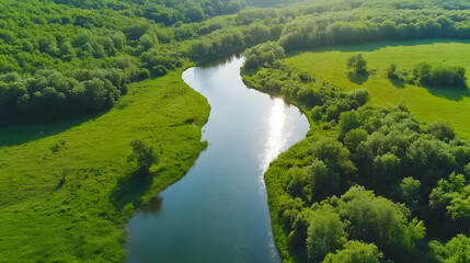 Aerial view of a tranquil river winding through a dense, lush green forest, with clear water reflecting the trees. The forest is rich in vibrant greenery, and the river appears calm and peaceful.