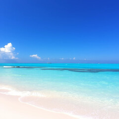 Obraz premium Crystal clear tropical beach with turquoise waters.