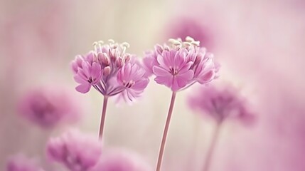 Obraz premium Delicate Pink Flowers Softly Bloom in the Garden