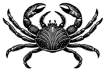 Beautiful crab vintage engraved vector art illustration