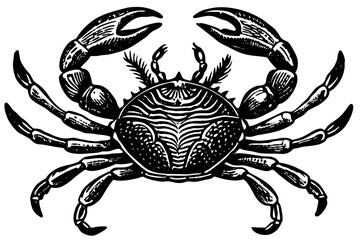 Beautiful crab vintage engraved vector art illustration