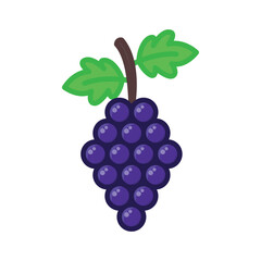 grape icon vector design template elegant style 8