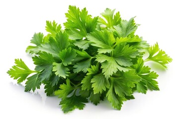 Celery Leaves Top View, Fresh Apium Graveolens, Tilt-Shift Macro Photography, High-Resolution PNG Image