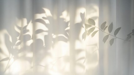 Minimalist Photography of Translucent Curtains with Leaf Shadows and Backlighting in Serenity