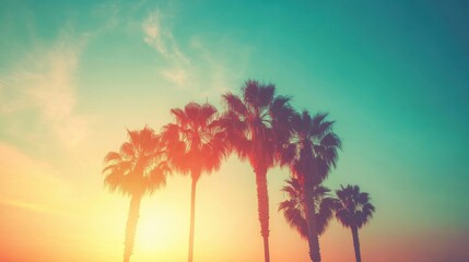 Colorful sunset illuminates the skyline of Los Angeles, with palm trees outlined in the foreground, creating a serene atmosphere
