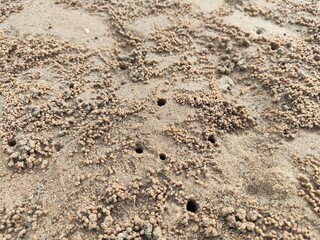 Crab hole on the beach is Dig sand on the beach - Grey sand nature abstract background, Round granules from sand are made by small crab crabs that dig holes in their habitats