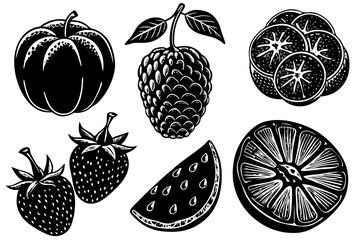 A set of sketches of fruit isolated on a white background vector art illustration