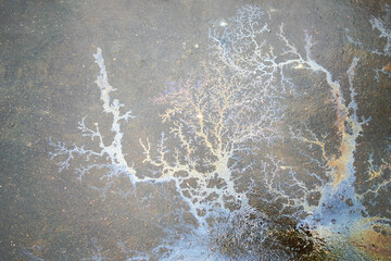 vivid image of colorful gasoline stains on asphalt, showcasing the iridescent patterns created by...
