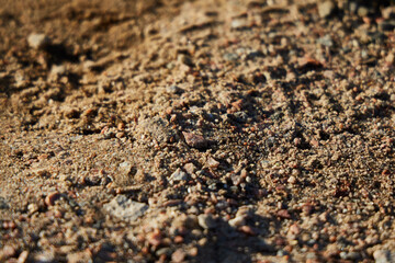 Closeup of a Detailed and Earthy Soil Texture Featuring Numerous Fine Particles