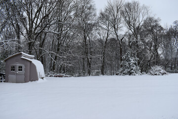 Naklejka premium snow covered green house
