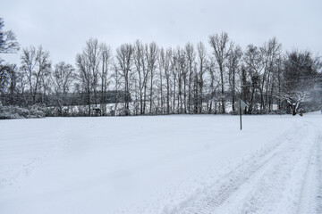 Fototapeta premium winter landscape with snow