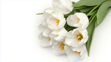 Fototapeta premium White lily flowers isolated on white background. Closeup. Nature. 