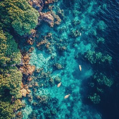 Fototapeta premium Serene Aerial View of Crystal Clear Tropical Waters