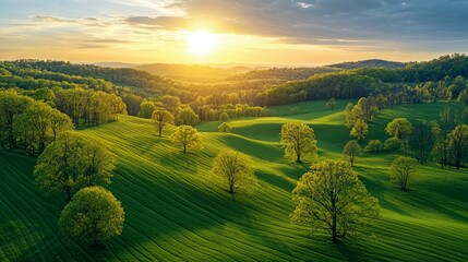Obraz premium Sunset over Rolling Green Hills: A Serene Landscape