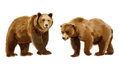 Watercolor set of grizzly bear for logo, invitations and more