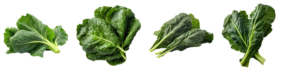 Collard greens isolated on transparent background, Set of