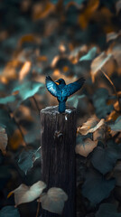 Solitary Jackdaw: Observing the Tranquil Woods with Intelligently Piercing Eyes