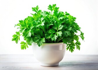 Fototapeta premium Panoramic Parsley in White Pot - AI Photography