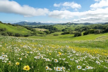 Vibrant wildflower meadow in rolling green hills under a blue sky