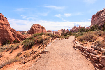 A dirt road winds through a desert landscape