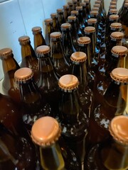 Craft beer bottles lined up with bronze-colored caps in the maturation process after bottling and fermentation. Made at home with a manual process enhancing different flavors and notes.